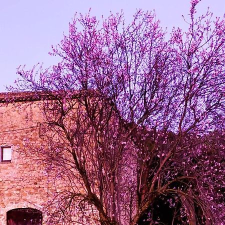 El Castell de Segueró Beuda Exterior foto