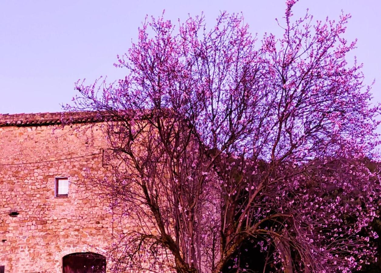 El Castell de Segueró Beuda Exterior foto