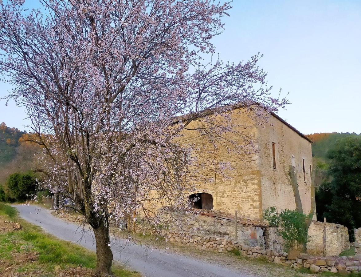 El Castell de Segueró Beuda Exterior foto